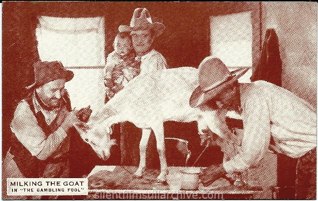 Franklyn Farnum in THE GAMBLING FOOL (1925) postcard