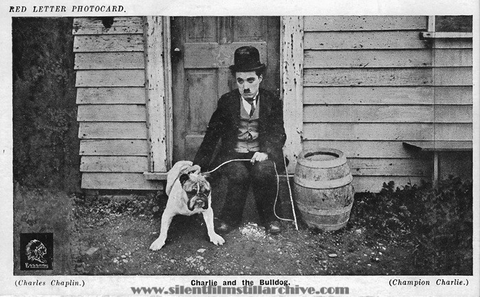 Red Letter Photocard of Charlie Chaplin and a bulldog in THE CHAMPION (1915)